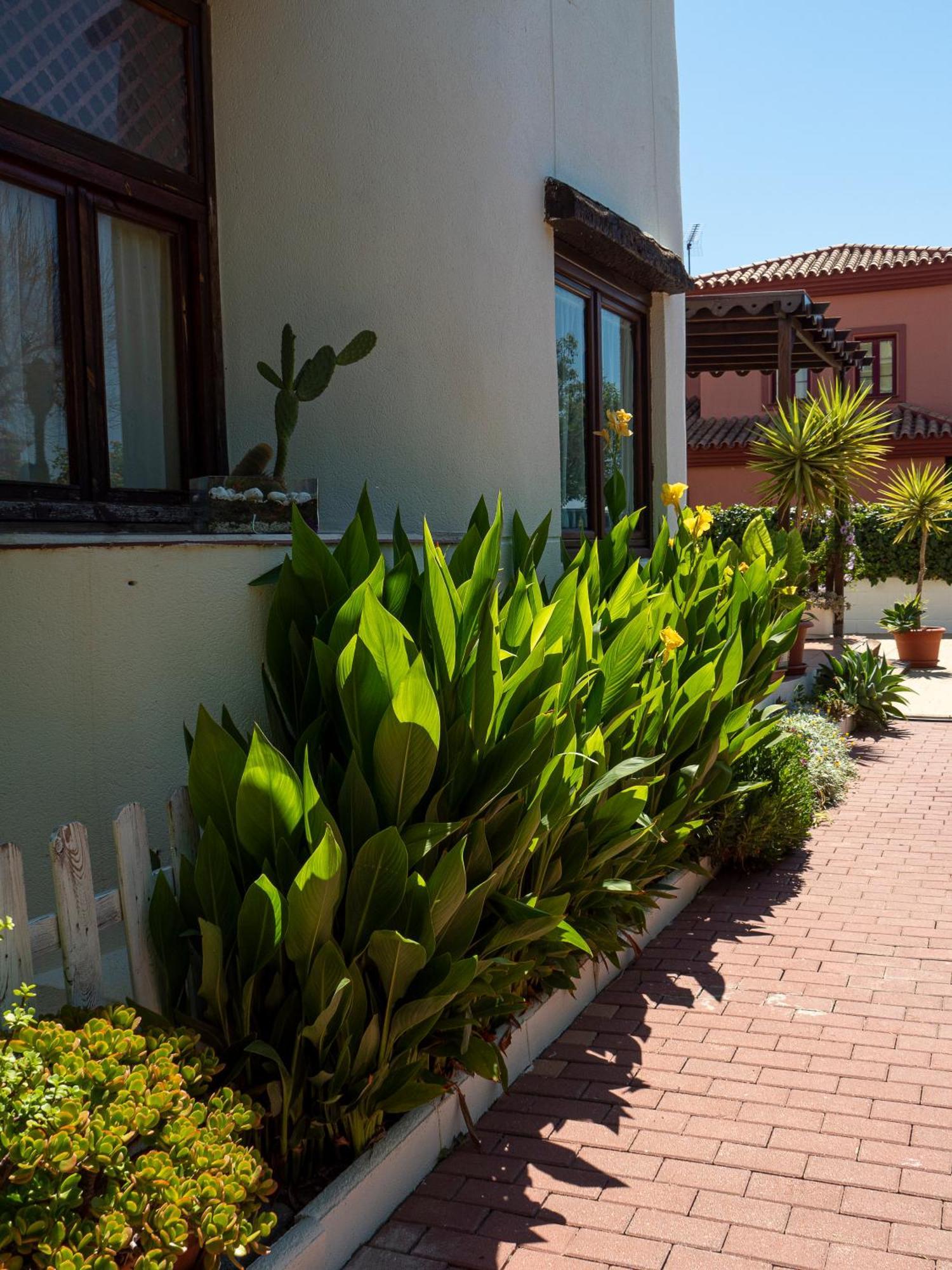 Villa Ibicenca Love Benalmádena Exterior foto